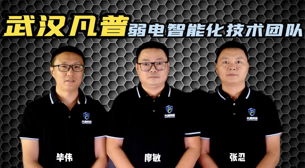 武汉凡普弱电智能化技术团队：毕伟、廖敏、张忍
